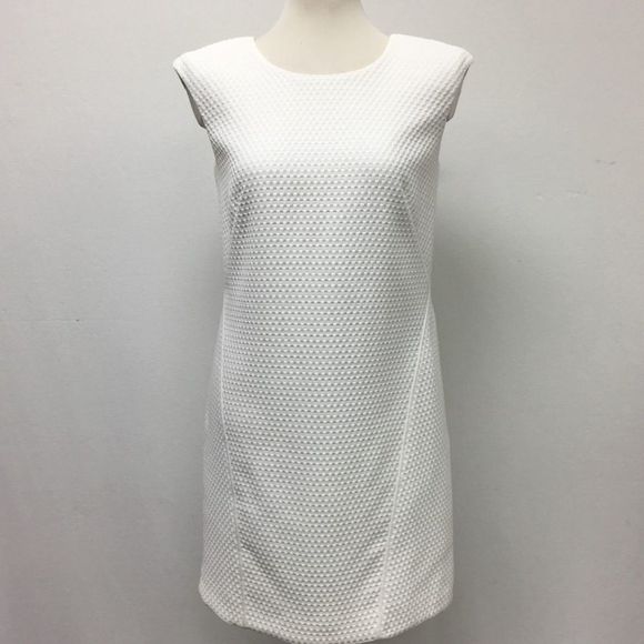 Lafayette 148 New York Petite Sleeveless Shift